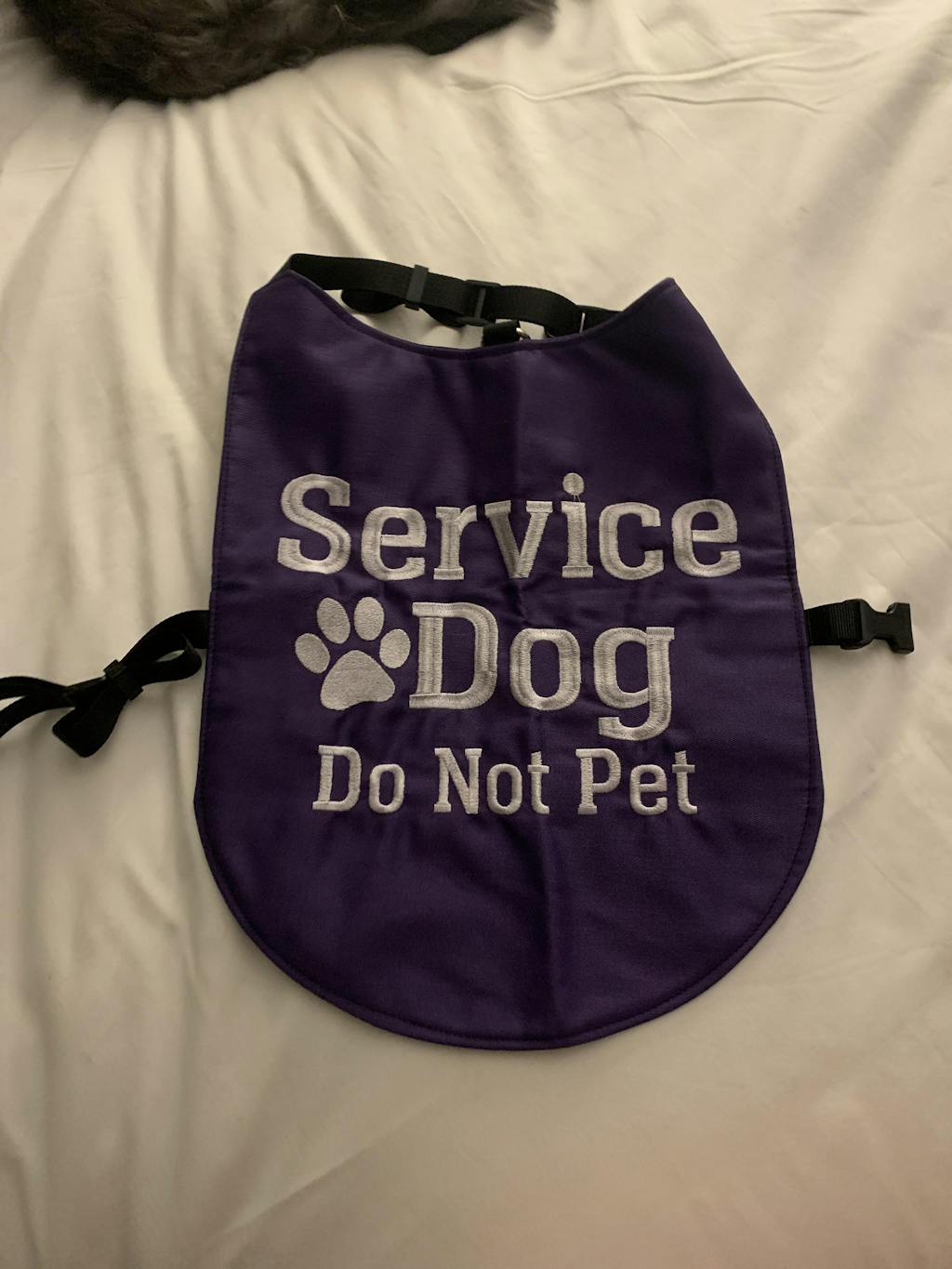 Jacket, Custom dog jacket, Embroidered with your text or design, custo PatienceandLove143