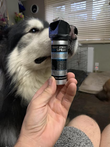 First strike k9 dog deterrent shops spray