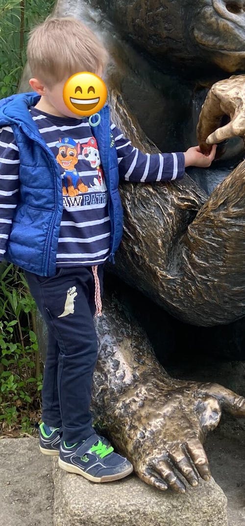 Bügelbild - Dino T-Rex