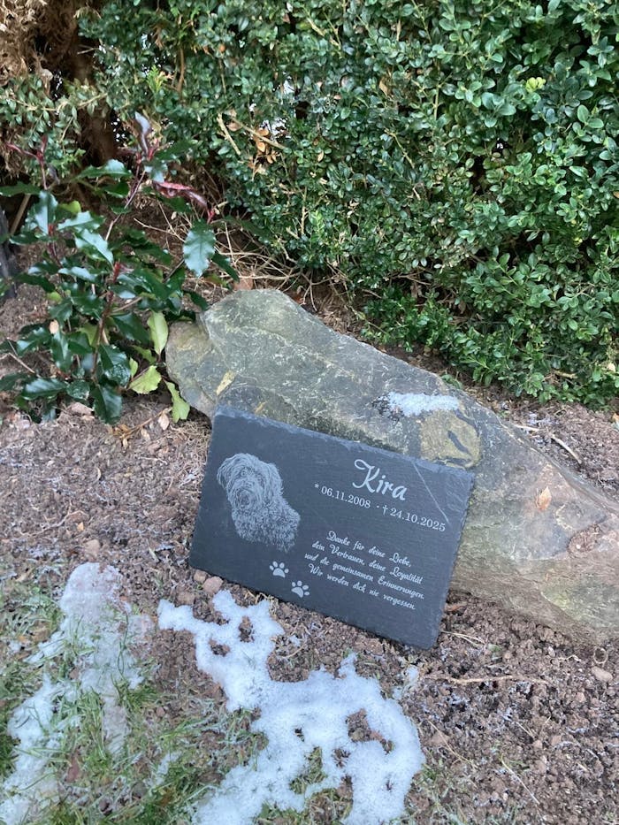 Personalisierter Schiefer Tiergrabstein 30x20cm - Foto Lasergravur