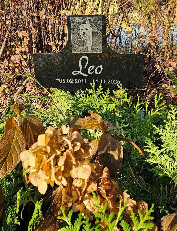 Personalisiertes Acrylglas Tier Grabkreuz Schwarz - Foto Lasergravur