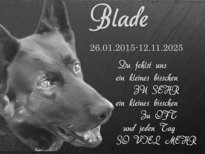 Personalisierter Schiefer Tiergrabstein 30x20cm - Foto Lasergravur