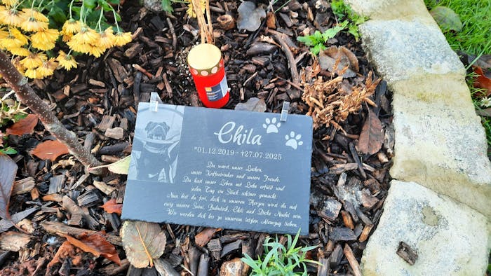 Personalisierter Schiefer Tiergrabstein 30x20cm - Foto Lasergravur