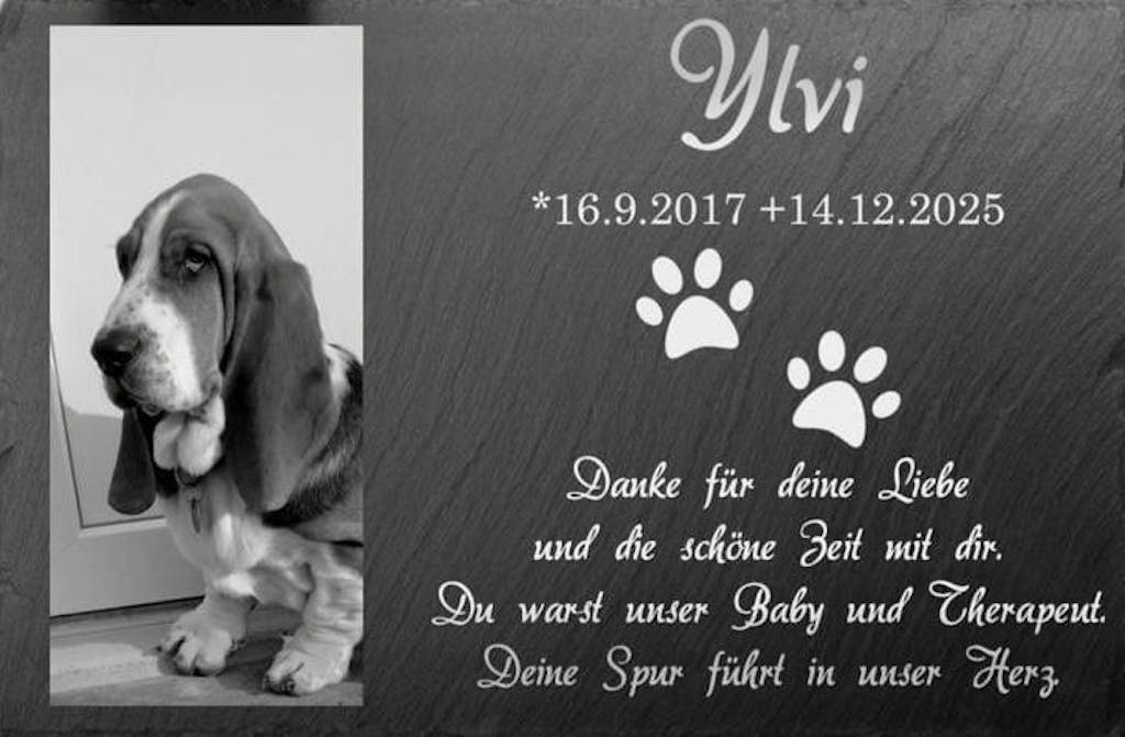 Personalisierter Schiefer Tiergrabstein 30x20cm - Foto Lasergravur