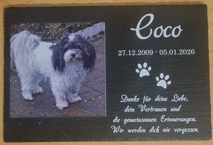 Personalisierter Schiefer Tiergrabstein 30x20cm - Foto UV-Druck