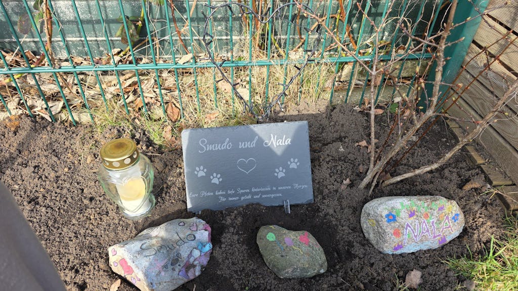 Personalisierter Schiefer Tiergrabstein 30x20cm - Foto Lasergravur