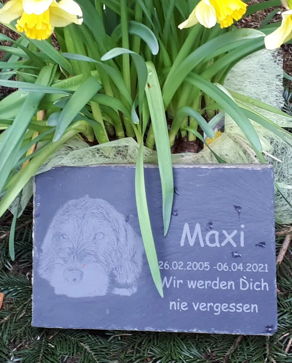 Personalisierter Schiefer Tiergrabstein 30x20cm - Foto Lasergravur