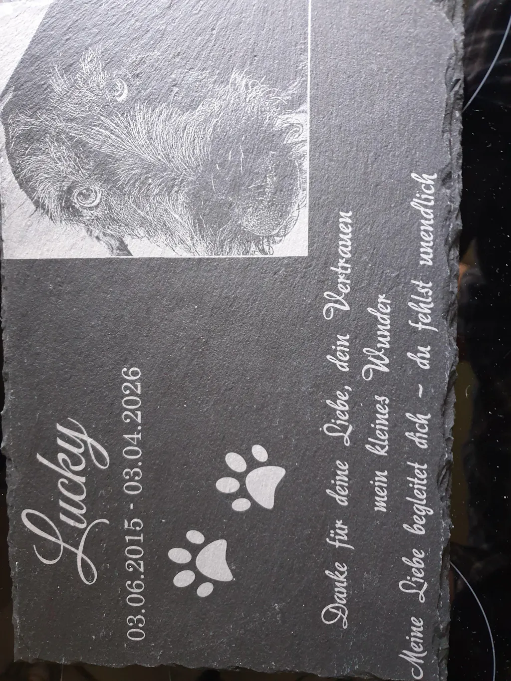 Personalisierter Schiefer Tiergrabstein 30x20cm - Foto Lasergravur