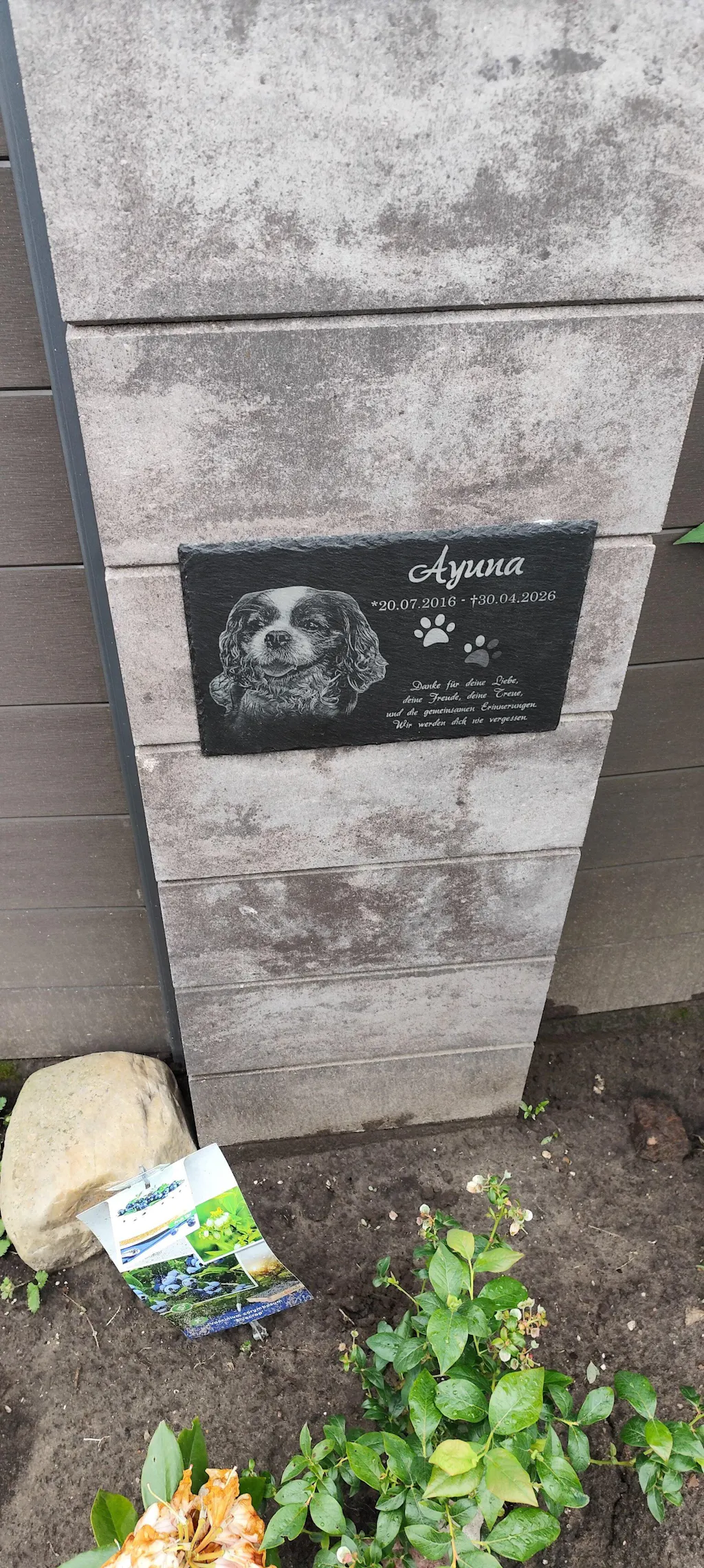 Personalisierter Schiefer Tiergrabstein 30x20cm - Foto Lasergravur