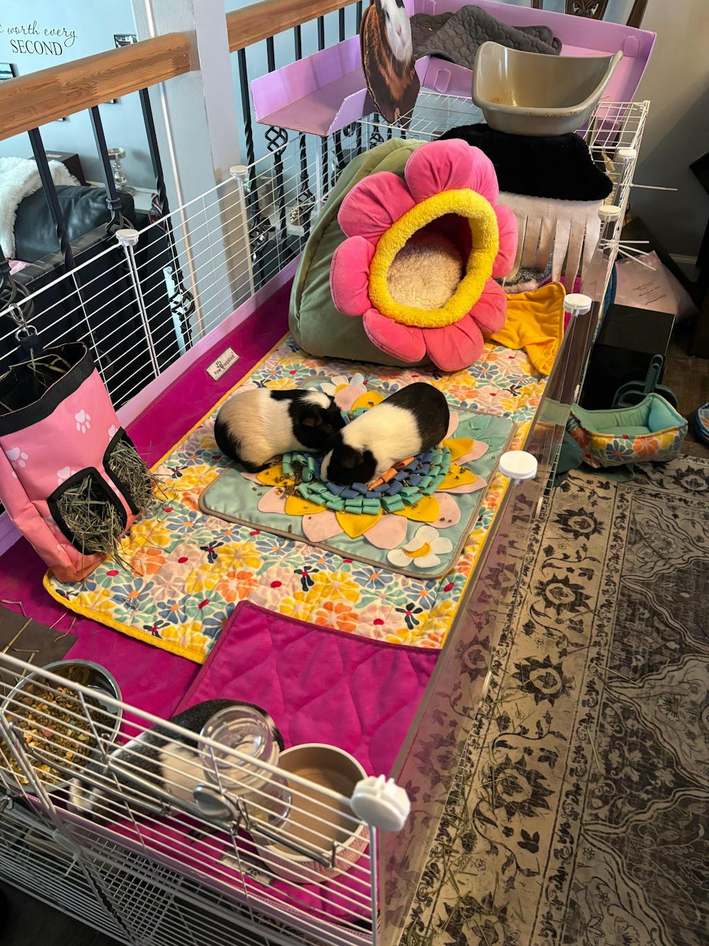 Critter Box® Washable Cage Liner