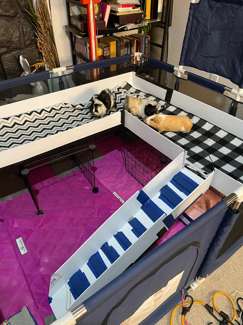 PopCorner® Washable Cage Liners