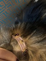 Harper Swarovski Purple Cat Collar