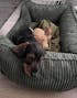 Hundebett ANTON Cord Olive