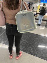 Pawaii Travel Pet Carrier - Pawaii Beige and Tea Green