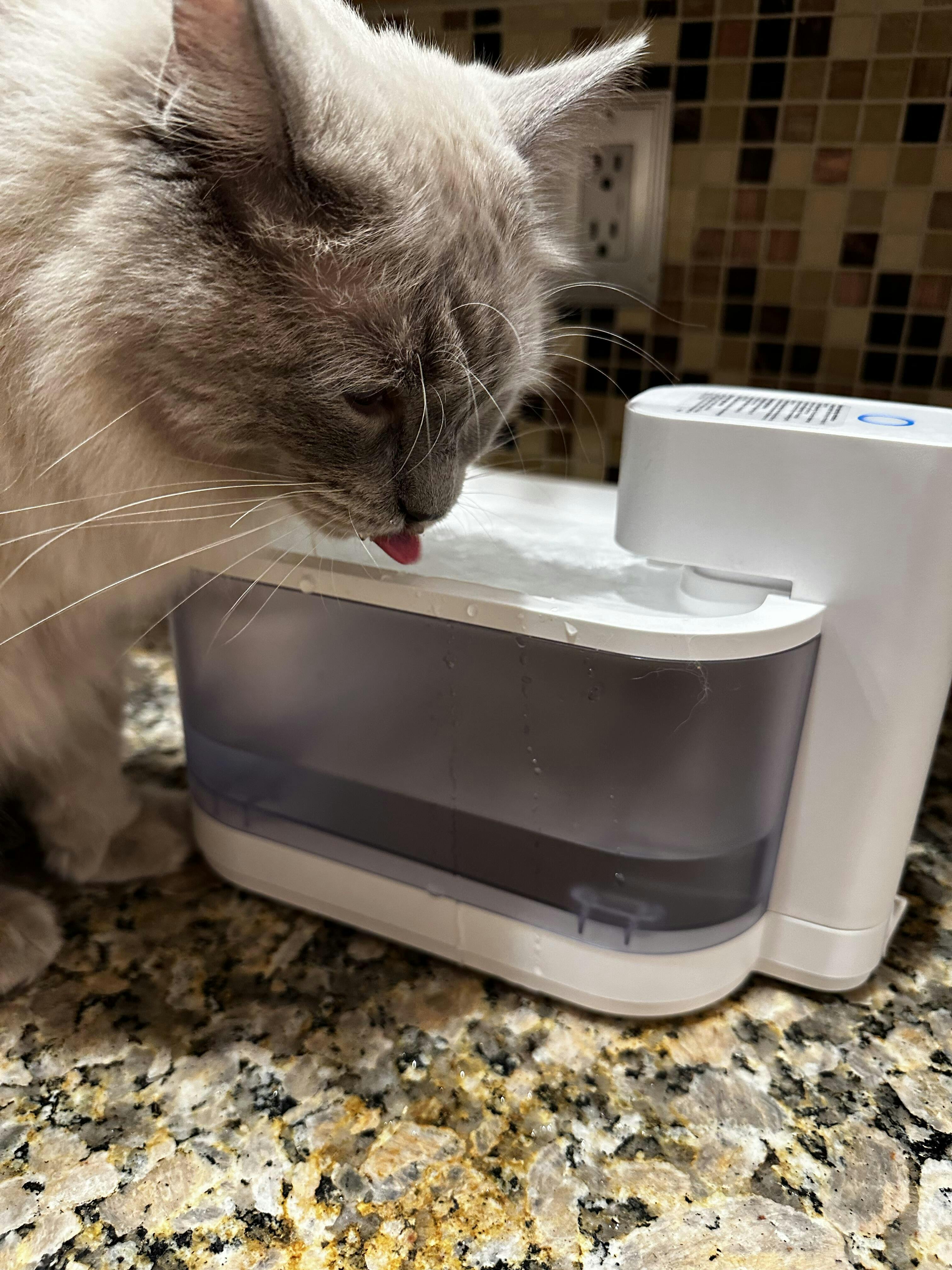 Wireless Pet Water Fountain Pro - PAWAii