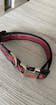 Reflect Woven Tape Dog Collar (Red)