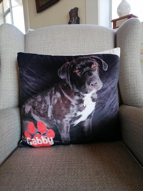 18x18 Pillow - Personalized Pet Pillow, Custom Pillows with Picture, H -  Pawfect House ™