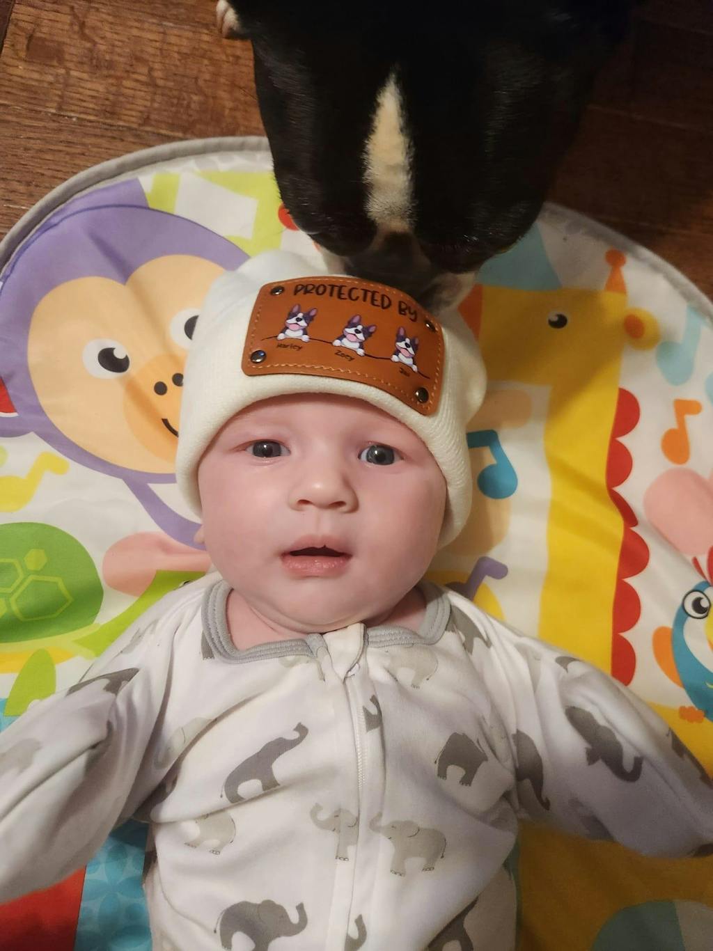 Every Dog Needs A Baby - Dog Personalized Custom Baby Beanie Hat - Gif ...