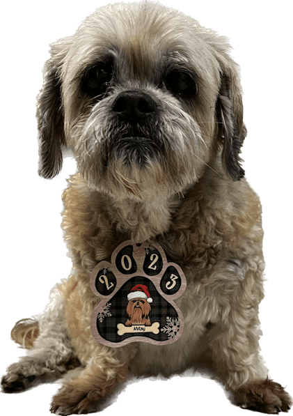 Personalized Custom Paw Shaped Wood Christmas Ornament - Dog, Cat And -  Pawfect House