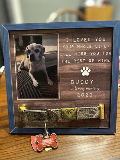 Personalized Pet Memorial Gifts, My Best Friend On The Sky Gift