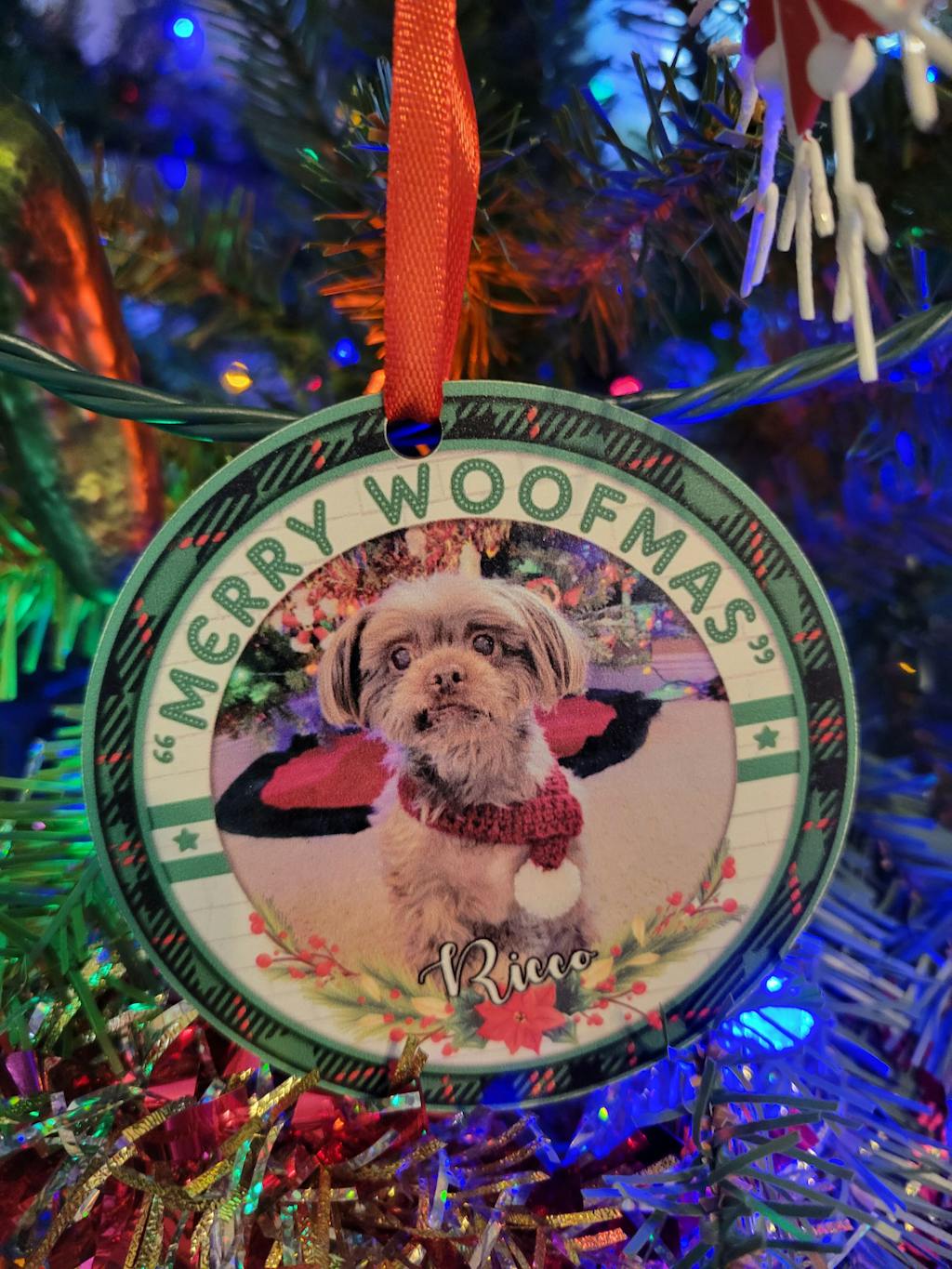 We're On The Naughty List - Dog & Cat Personalized Custom Ornament - W ...