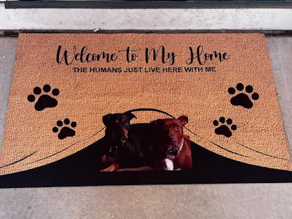 Benvenuto A Casa Mia - Divertente Cartello Personalizzato Per La Porta -  Pawfect House