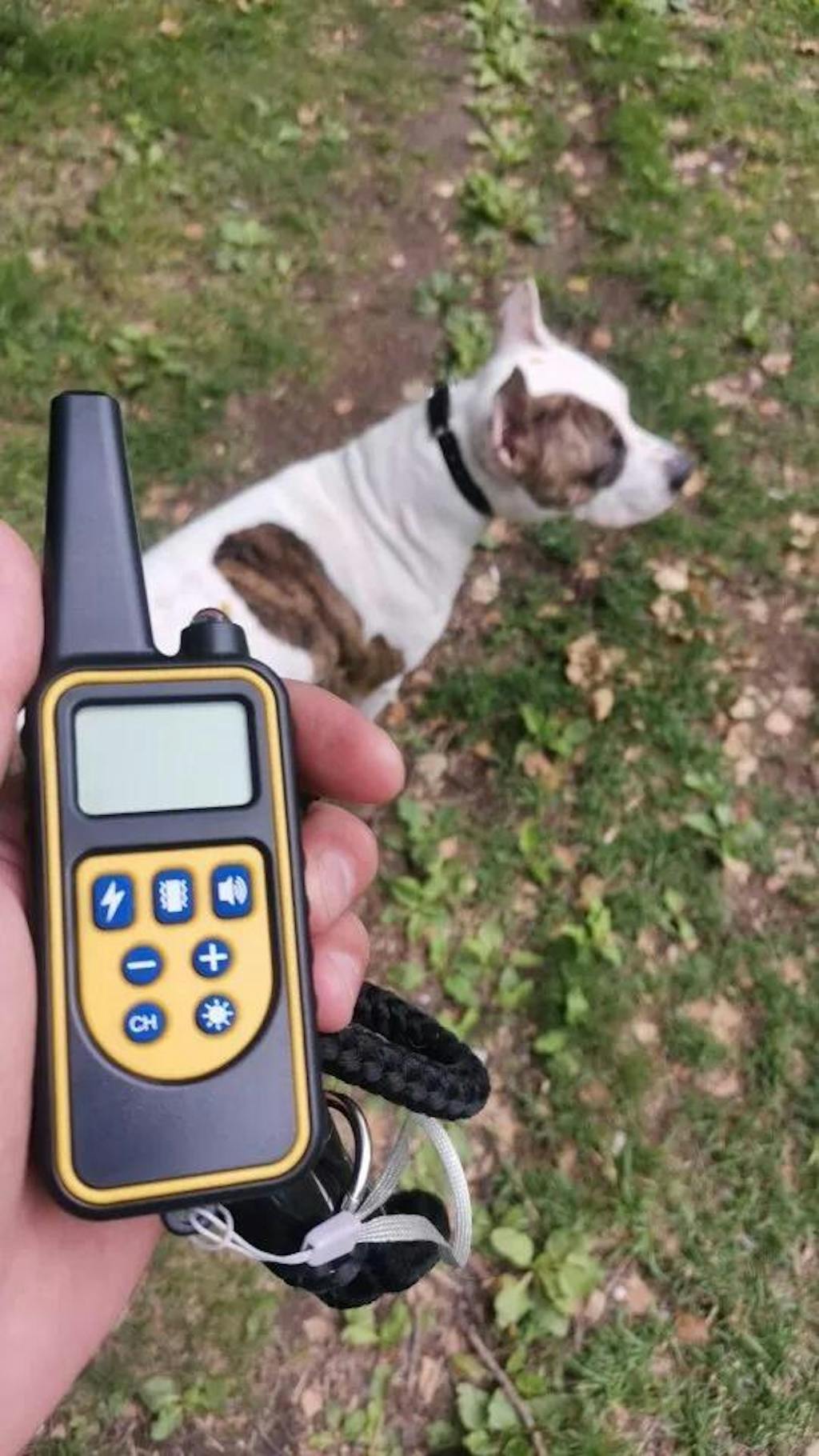 PawSense Dog Training Collar, Dog Shock Collar, E Collar Pawfect Way