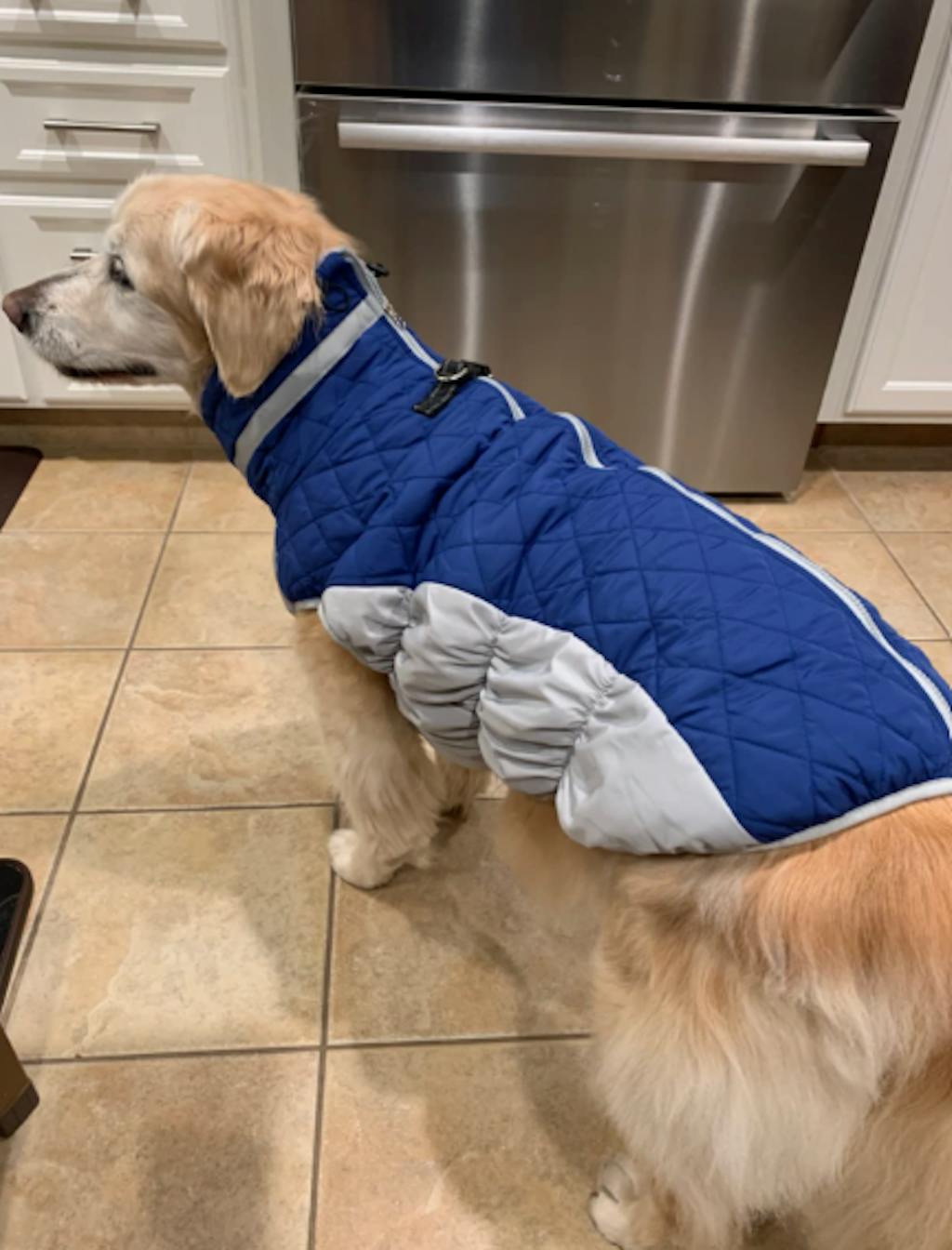 WoofFluff Outdoor Dog Coat HarnessReady, Weatherproof, and