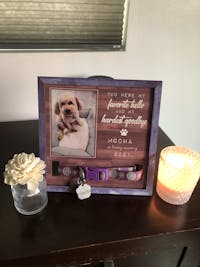 Best Friends Come Into Our Lives And Leave Pawprints On Our Hearts - Upload Image - Personalized Memorial Pet Loss Sign (9x9 inches)