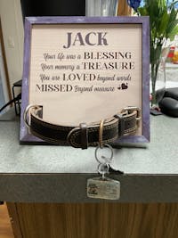 No Longer In Ourside - Dog Memorial - Personalized Memorial Pet Loss Sign (9x9 inches)