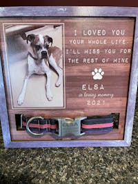 Best Friends Come Into Our Lives And Leave Pawprints On Our Hearts - Upload Image - Personalized Memorial Pet Loss Sign (9x9 inches)