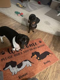Welcome To The Pet Home - Funny Personalized Pet Decorative Mat (Cat & Dog)