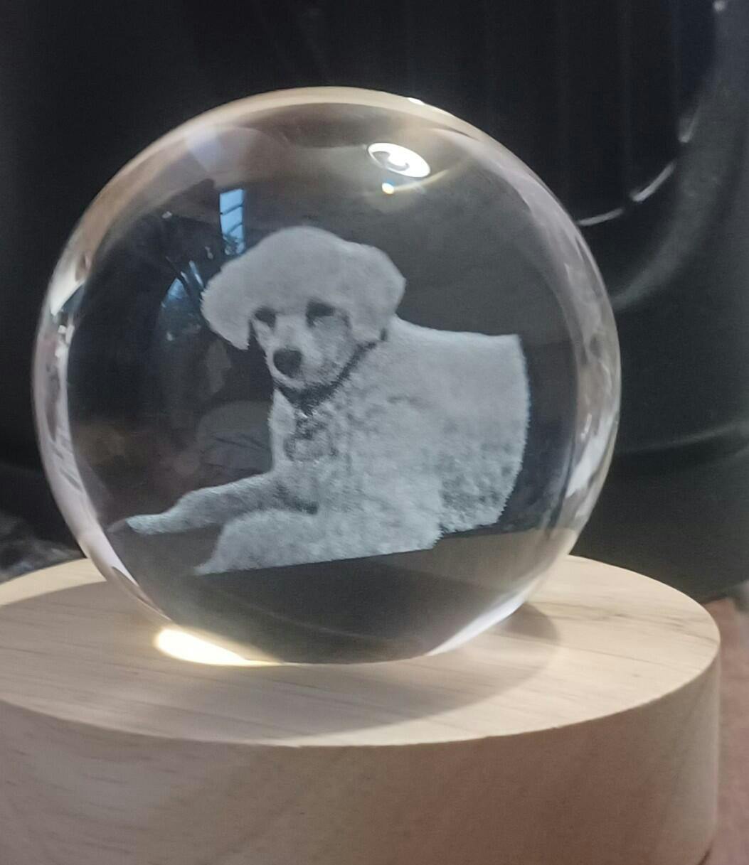 thumbnail image 2 of Dog Memorial Custom Photo Crystal Globe Lamp, Personalized Pet Memorial Pawfect House 2 of 11