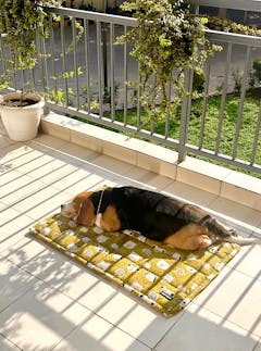 Review picture Review picture