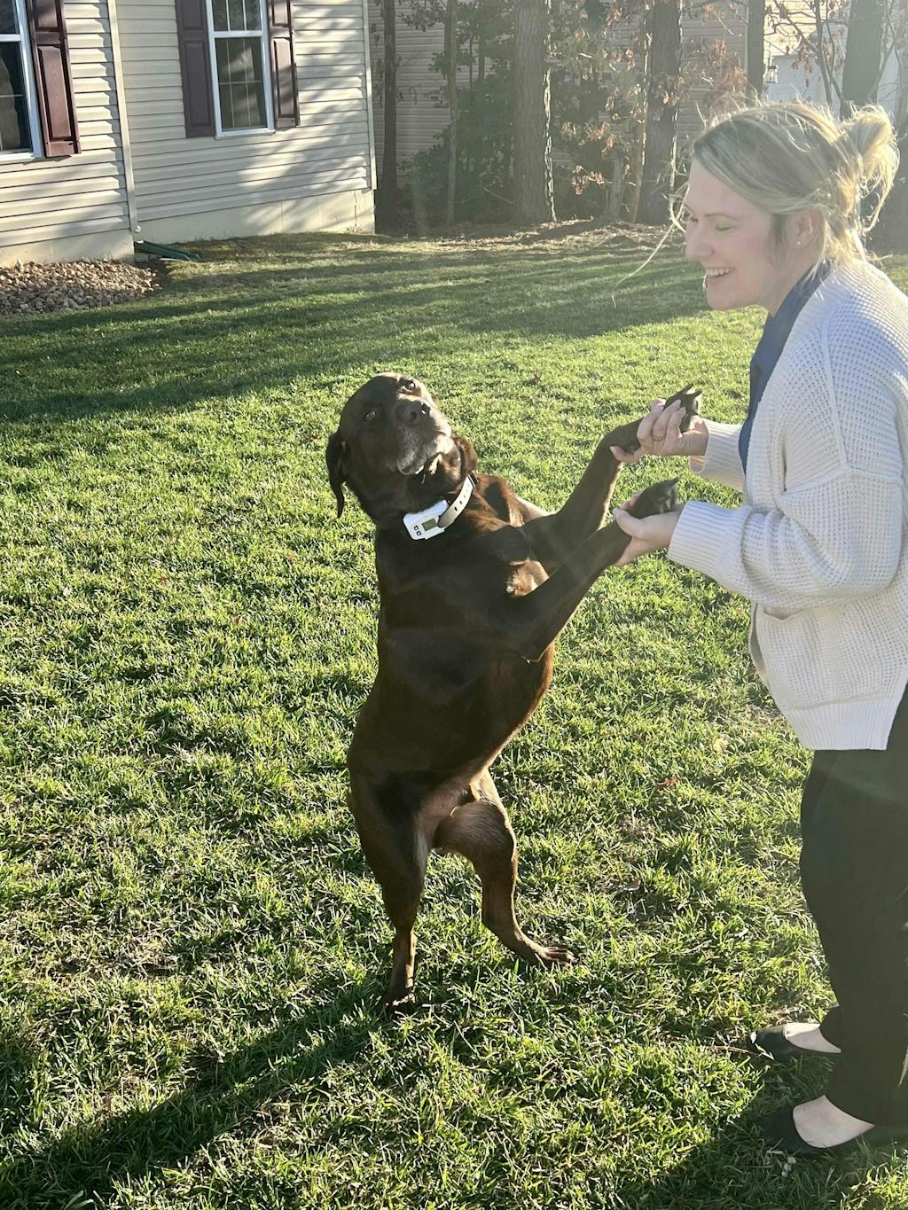 GPS Dog Fence F800 White Pawious