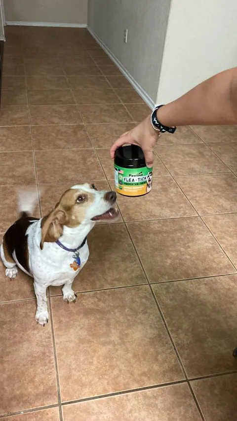 Flea and Tick Prevention for Dogs Chews - 9 oz