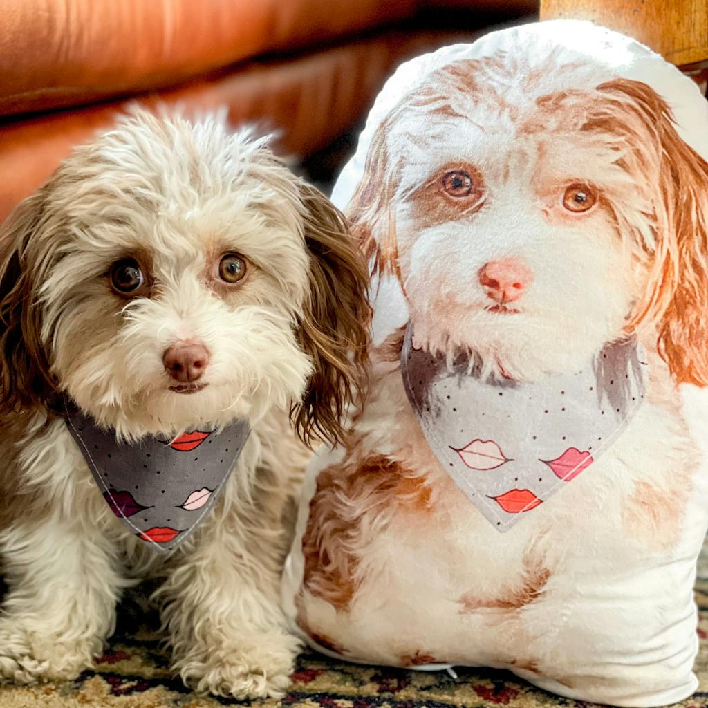 Personalized Dog Picture Pillow (With Your Dog's Picture On It) Pawjoy