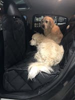 Pawmanity Window Hammock
