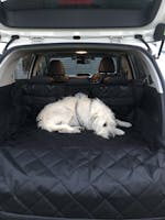 Pawmanity Cargo Liner