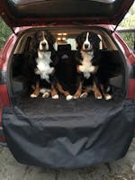 Pawmanity Cargo Liner