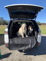 Pawmanity Cargo Liner