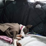 Pawmanity Window Hammock