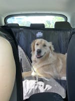 Pawmanity Window Hammock