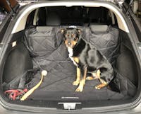Pawmanity Cargo Liner