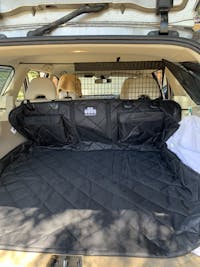 Pawmanity Cargo Liner