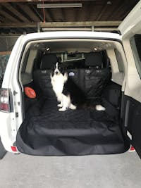 Pawmanity Cargo Liner