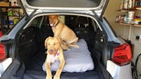 Pawmanity Cargo Liner