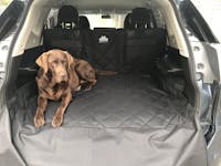 Pawmanity Cargo Liner