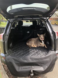 Pawmanity Cargo Liner