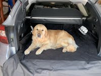 Pawmanity Cargo Liner